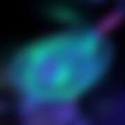 ヒメ日記 2025/07/26 02:35 投稿 ひかり CHERRY WEST(チェリーウエスト)