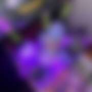 ヒメ日記 2025/10/09 17:30 投稿 ひかり CHERRY WEST(チェリーウエスト)