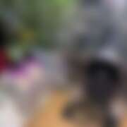 ヒメ日記 2025/11/25 17:45 投稿 ひかり CHERRY WEST(チェリーウエスト)