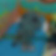 ヒメ日記 2025/12/27 16:30 投稿 ひかり CHERRY WEST(チェリーウエスト)