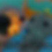 ヒメ日記 2026/01/23 18:08 投稿 ひかり CHERRY WEST(チェリーウエスト)