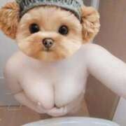 ヒメ日記 2025/09/12 00:27 投稿 もとせ OH！PAI