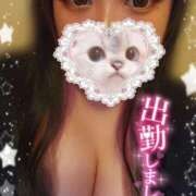 ヒメ日記 2025/05/21 13:05 投稿 あるの 奥様特急　上野・鶯谷店