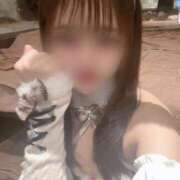 ヒメ日記 2025/06/06 00:31 投稿 みゆう アラモード