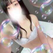 ヒメ日記 2025/04/04 01:00 投稿 しおん スチュワーデス