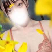 ヒメ日記 2025/04/06 01:15 投稿 しおん スチュワーデス