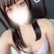 ヒメ日記 2025/04/08 10:00 投稿 しおん スチュワーデス