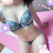 ヒメ日記 2025/04/11 00:45 投稿 しおん スチュワーデス