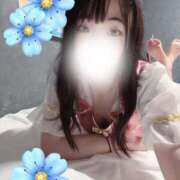 ヒメ日記 2025/04/11 10:01 投稿 しおん スチュワーデス