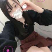 ヒメ日記 2025/04/12 09:01 投稿 しおん スチュワーデス