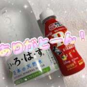 ヒメ日記 2026/03/14 01:30 投稿 しおん スチュワーデス