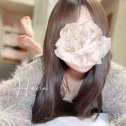 ヒメ日記 2025/11/23 13:26 投稿 はな Sweet～スウィート～