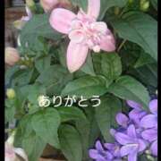 ヒメ日記 2025/01/20 10:32 投稿 豊田せりか 五十路マダム静岡店（カサブランカG）