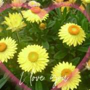 ヒメ日記 2025/02/03 10:22 投稿 豊田せりか 五十路マダム静岡店（カサブランカG）