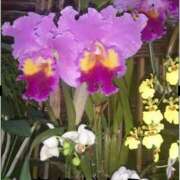 ヒメ日記 2025/02/06 09:18 投稿 豊田せりか 五十路マダム静岡店（カサブランカG）