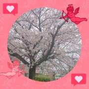 ヒメ日記 2025/05/03 01:40 投稿 豊田せりか 五十路マダム静岡店（カサブランカG）