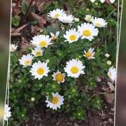 ヒメ日記 2025/05/25 09:34 投稿 豊田せりか 五十路マダム静岡店（カサブランカG）