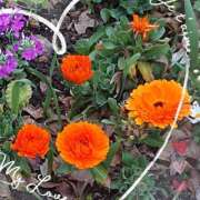 ヒメ日記 2025/05/25 09:42 投稿 豊田せりか 五十路マダム静岡店（カサブランカG）