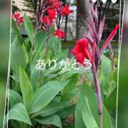 ヒメ日記 2025/05/27 10:30 投稿 豊田せりか 五十路マダム静岡店（カサブランカG）