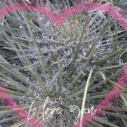 ヒメ日記 2025/06/11 18:22 投稿 豊田せりか 五十路マダム静岡店（カサブランカG）