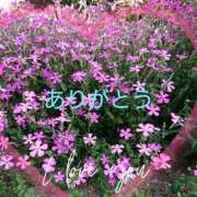 ヒメ日記 2025/08/03 12:38 投稿 豊田せりか 五十路マダム静岡店（カサブランカG）