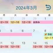 ヒメ日記 2024/02/24 14:11 投稿 宝生雫 ローテンブルク