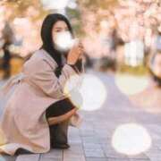 ヒメ日記 2024/12/14 10:06 投稿 宝生雫 ローテンブルク