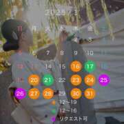 ヒメ日記 2025/01/15 23:56 投稿 宝生雫 ローテンブルク