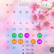 ヒメ日記 2025/03/18 08:55 投稿 宝生雫 ローテンブルク