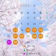 ヒメ日記 2025/04/12 23:46 投稿 宝生雫 ローテンブルク