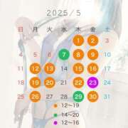 ヒメ日記 2025/04/26 10:58 投稿 宝生雫 ローテンブルク