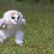 ヒメ日記 2025/05/09 12:13 投稿 宝生雫 ローテンブルク