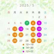 ヒメ日記 2025/05/14 11:53 投稿 宝生雫 ローテンブルク