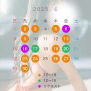 ヒメ日記 2025/05/22 10:52 投稿 宝生雫 ローテンブルク