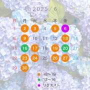 ヒメ日記 2025/05/26 19:03 投稿 宝生雫 ローテンブルク