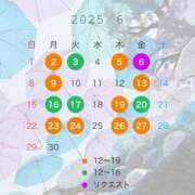 ヒメ日記 2025/06/03 13:04 投稿 宝生雫 ローテンブルク