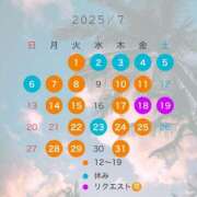 ヒメ日記 2025/06/15 16:35 投稿 宝生雫 ローテンブルク