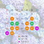 ヒメ日記 2025/06/18 15:54 投稿 宝生雫 ローテンブルク