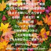 ヒメ日記 2025/10/23 23:30 投稿 宝生雫 ローテンブルク