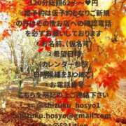 ヒメ日記 2025/11/04 14:21 投稿 宝生雫 ローテンブルク