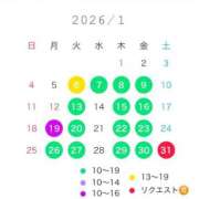 ヒメ日記 2025/12/25 23:19 投稿 宝生雫 ローテンブルク