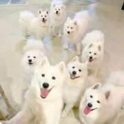 ヒメ日記 2026/01/20 15:19 投稿 宝生雫 ローテンブルク