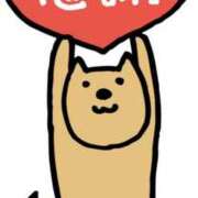 ヒメ日記 2026/02/11 16:02 投稿 宝生雫 ローテンブルク