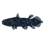 ヒメ日記 2026/02/17 21:45 投稿 宝生雫 ローテンブルク