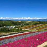 ヒメ日記 2026/03/02 10:31 投稿 宝生雫 ローテンブルク