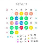 ヒメ日記 2026/03/05 11:01 投稿 宝生雫 ローテンブルク