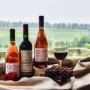 ヒメ日記 2026/03/08 11:11 投稿 宝生雫 ローテンブルク