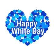 ヒメ日記 2026/03/16 11:15 投稿 宝生雫 ローテンブルク