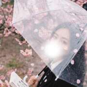 ヒメ日記 2026/03/20 17:31 投稿 宝生雫 ローテンブルク