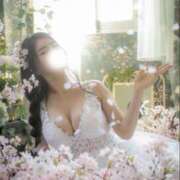 ヒメ日記 2026/03/20 22:18 投稿 宝生雫 ローテンブルク